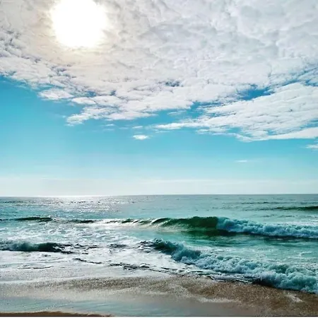 Tequila House - Luxury House In Portugal Villa Santa Barbara (Lisbon)